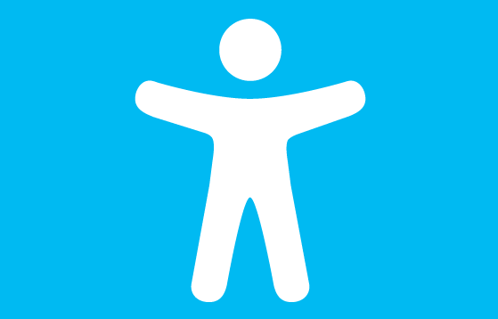 icon for accessibility 