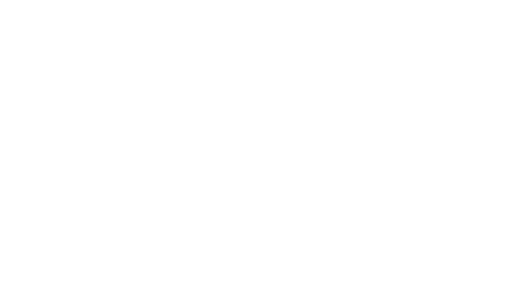 ts logo