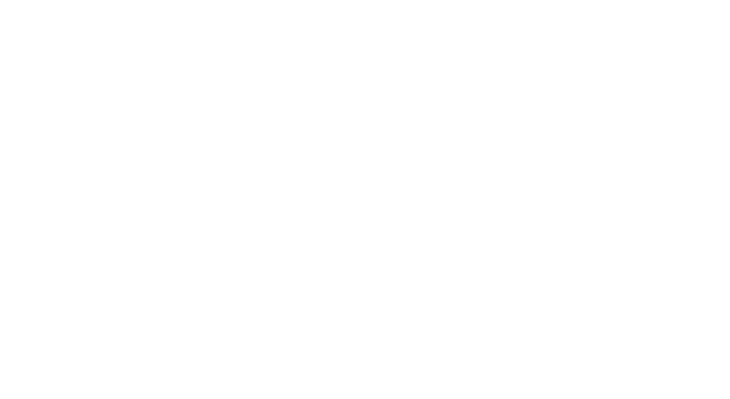 Safe Check Electrical Logo